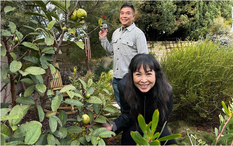 Nữ NSND tuổi ngựa cưới tài tử điện ảnh lừng lẫy, sở hữu biệt thự hoành tráng giữa trung tâm TP. Hồ Chí Minh- Ảnh 1.