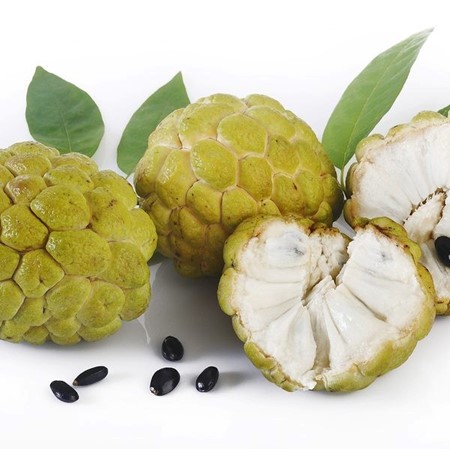 Lợi &iacute;ch chưa từng nghe tới từ loại quả quen thuộc, c&oacute; thể ph&ograve;ng ung thư, ngừa đột quỵ- Ảnh 2.