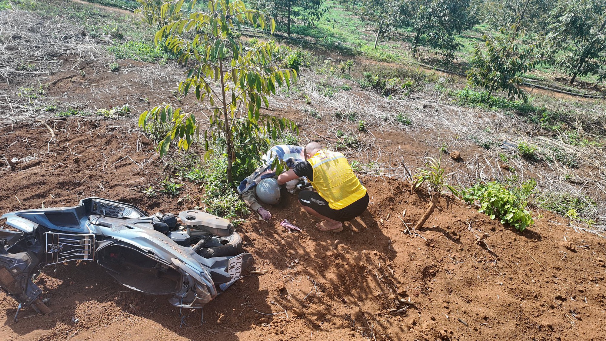 Lâm Đồng: Ba người trong gia đình tử vong sau vụ tai nạn- Ảnh 1. Lâm Đồng: Ba người trong gia đình tử vong sau vụ tai nạn- Ảnh 1.
