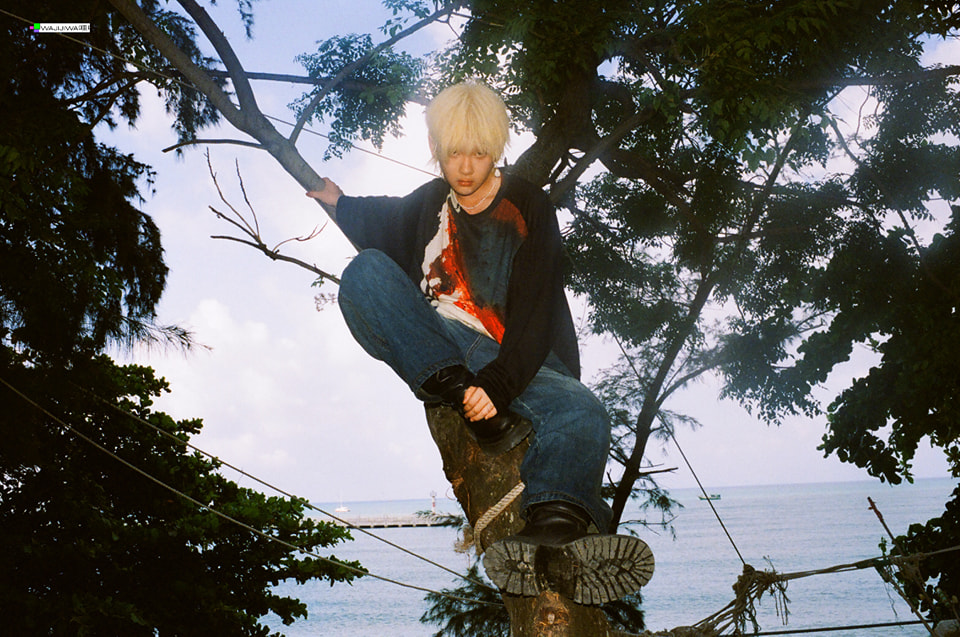 Concert không sân khấu đầu tiên của showbiz: "Cậu bé vàng" cưỡi ngựa đẹp như cổ tích, thua bạch mã hoàng tử đúng cái tên- Ảnh 12.