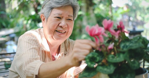 Nhiều người ngoài 60 vẫn hiểu nhầm: Tập thể dục không là tất cả- Ảnh 2. Nhiều người ngoài 60 vẫn hiểu nhầm: Tập thể dục không là tất cả- Ảnh 2.