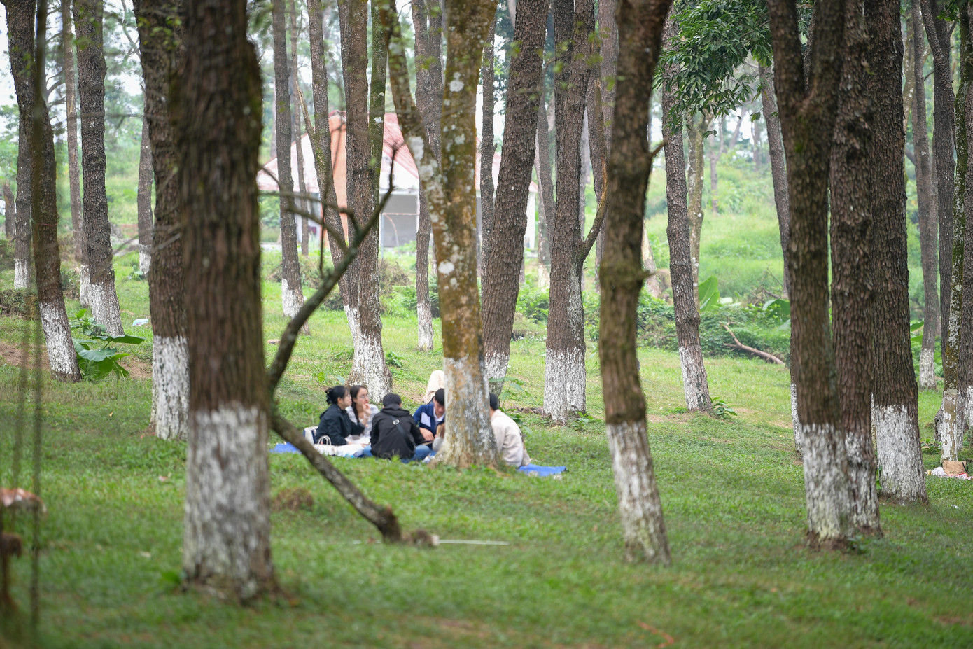 Những điểm cắm trại l&yacute; tưởng quanh H&agrave; Nội dịp Tết- Ảnh 3.