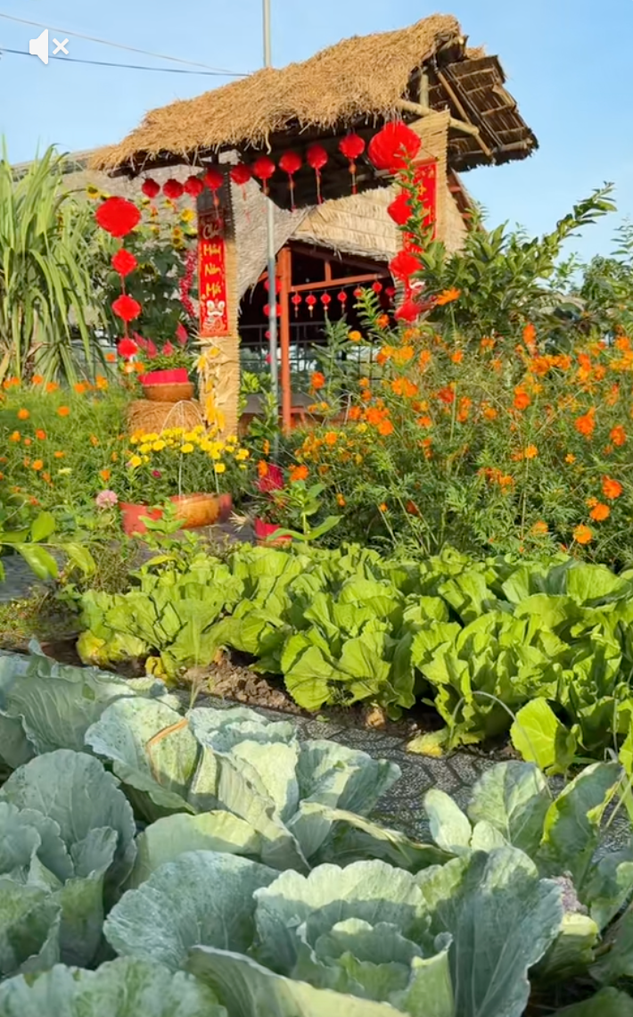 Tết trong khu vườn 3.000m2 ở miền T&acirc;y: Hoa nở rộ khắp vườn, gia chủ chăm ch&uacute;t từng kh&oacute;m hoa từ 2 th&aacute;ng trước- Ảnh 11.