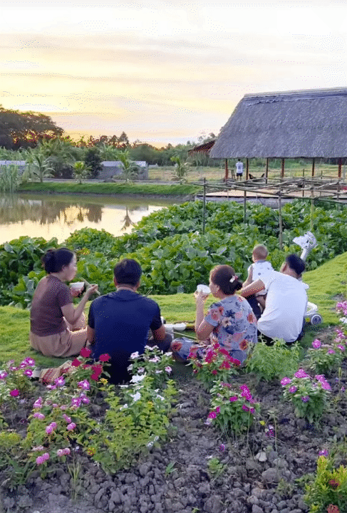 Tết trong khu vườn 3.000m2 ở miền T&acirc;y: Hoa nở rộ khắp vườn, gia chủ chăm ch&uacute;t từng kh&oacute;m hoa từ 2 th&aacute;ng trước- Ảnh 14.