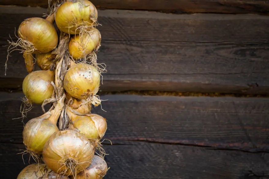 Những "chi&ecirc;u" khai vận độc lạ từ &Aacute; sang &Acirc;u đ&oacute;n năm mới- Ảnh 3.