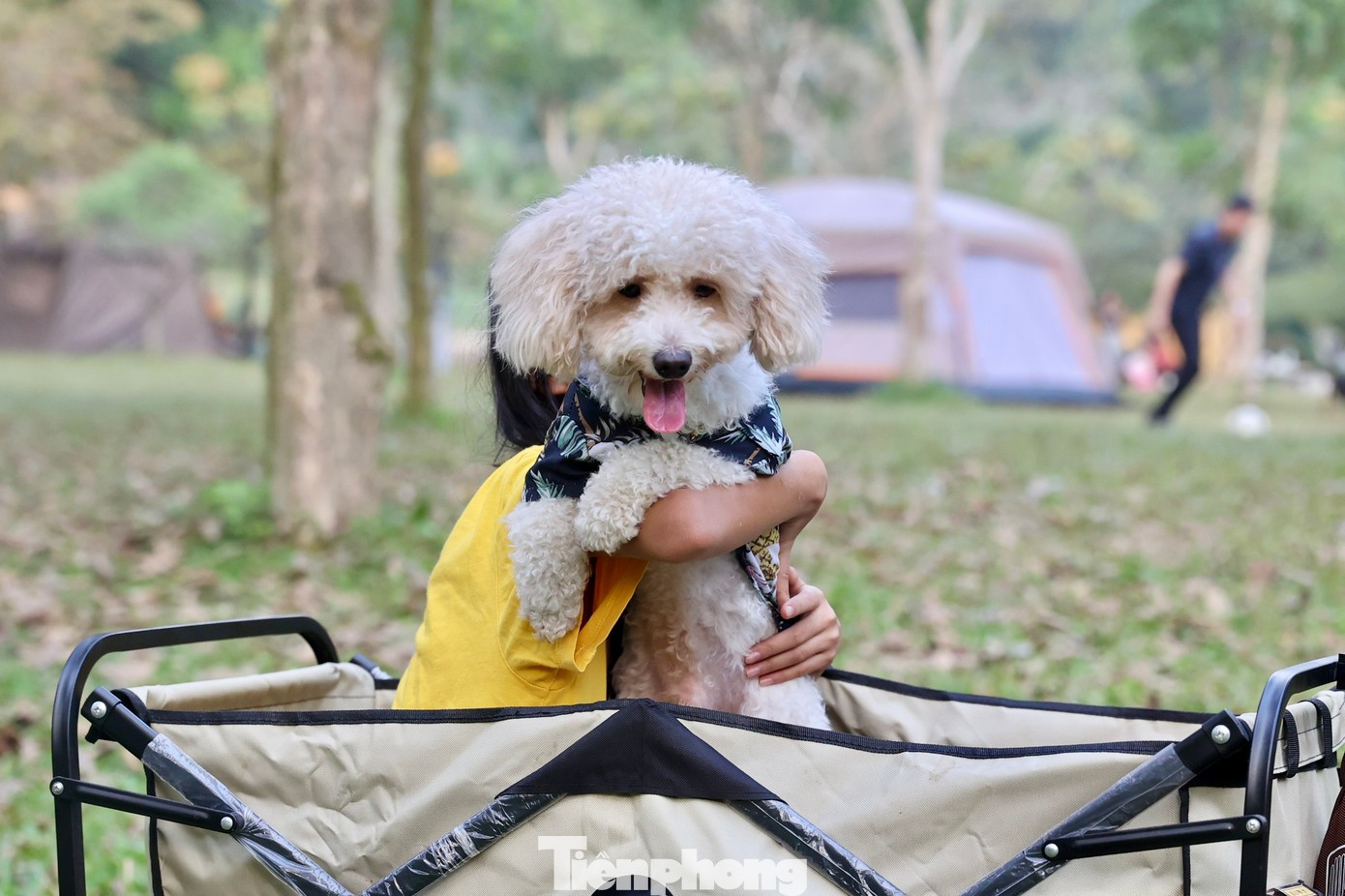 Những điểm cắm trại l&yacute; tưởng quanh H&agrave; Nội dịp Tết- Ảnh 7.