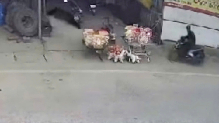 Hai trẻ bị t&agrave;i xế 'ma men' t&ocirc;ng văng khi đang chơi trước nh&agrave;, một ch&aacute;u tử vong- Ảnh 1.