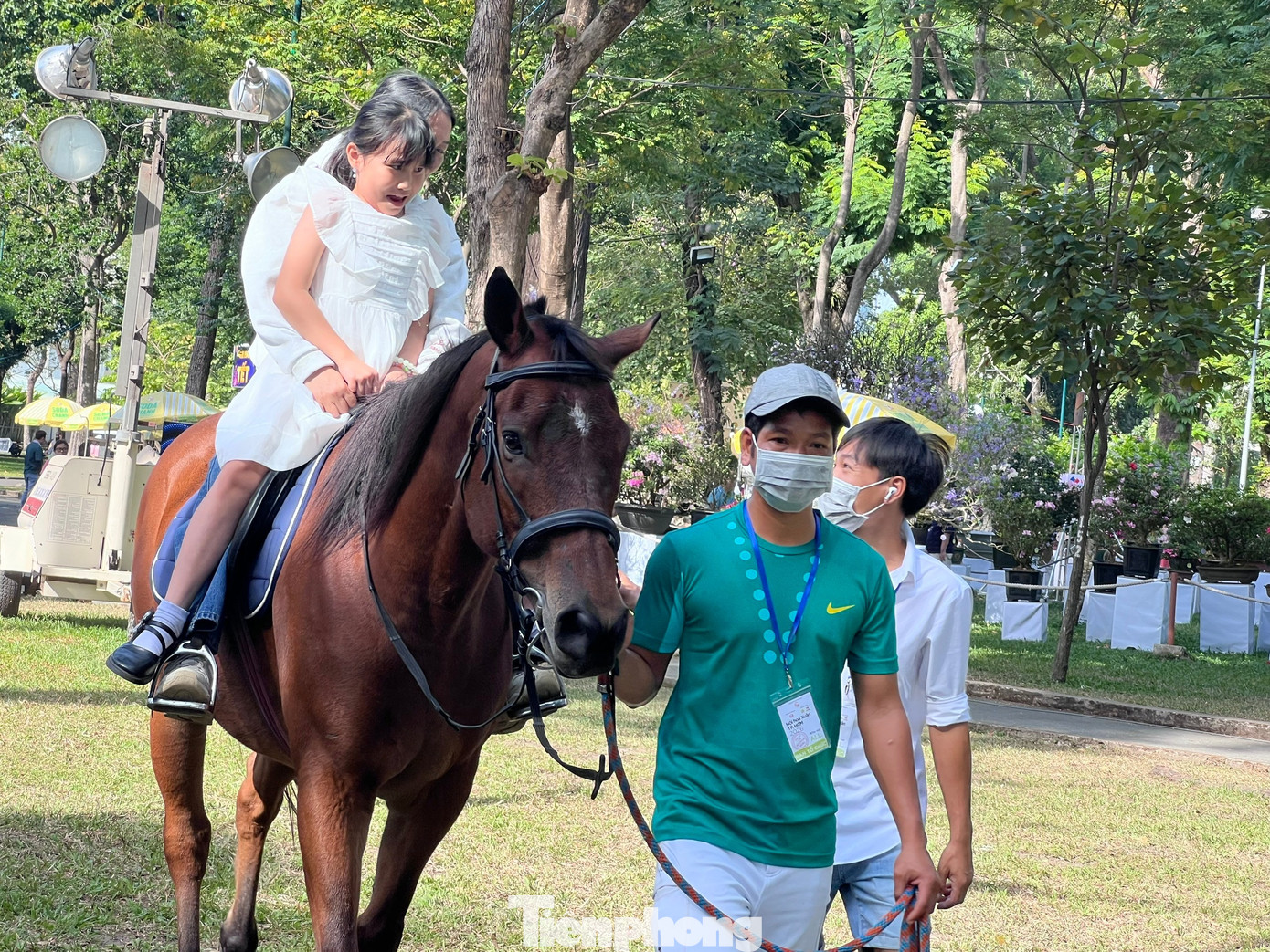 Du kh&aacute;ch xếp h&agrave;ng cưỡi 'tuấn m&atilde;'- Ảnh 4.