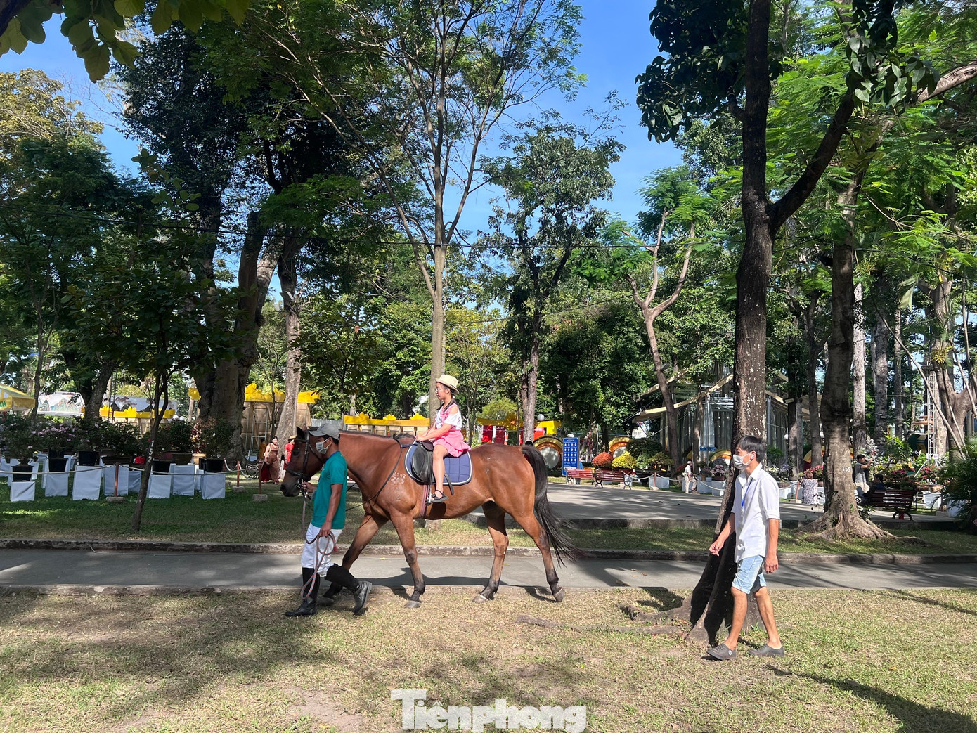 Du kh&aacute;ch xếp h&agrave;ng cưỡi 'tuấn m&atilde;'- Ảnh 6.