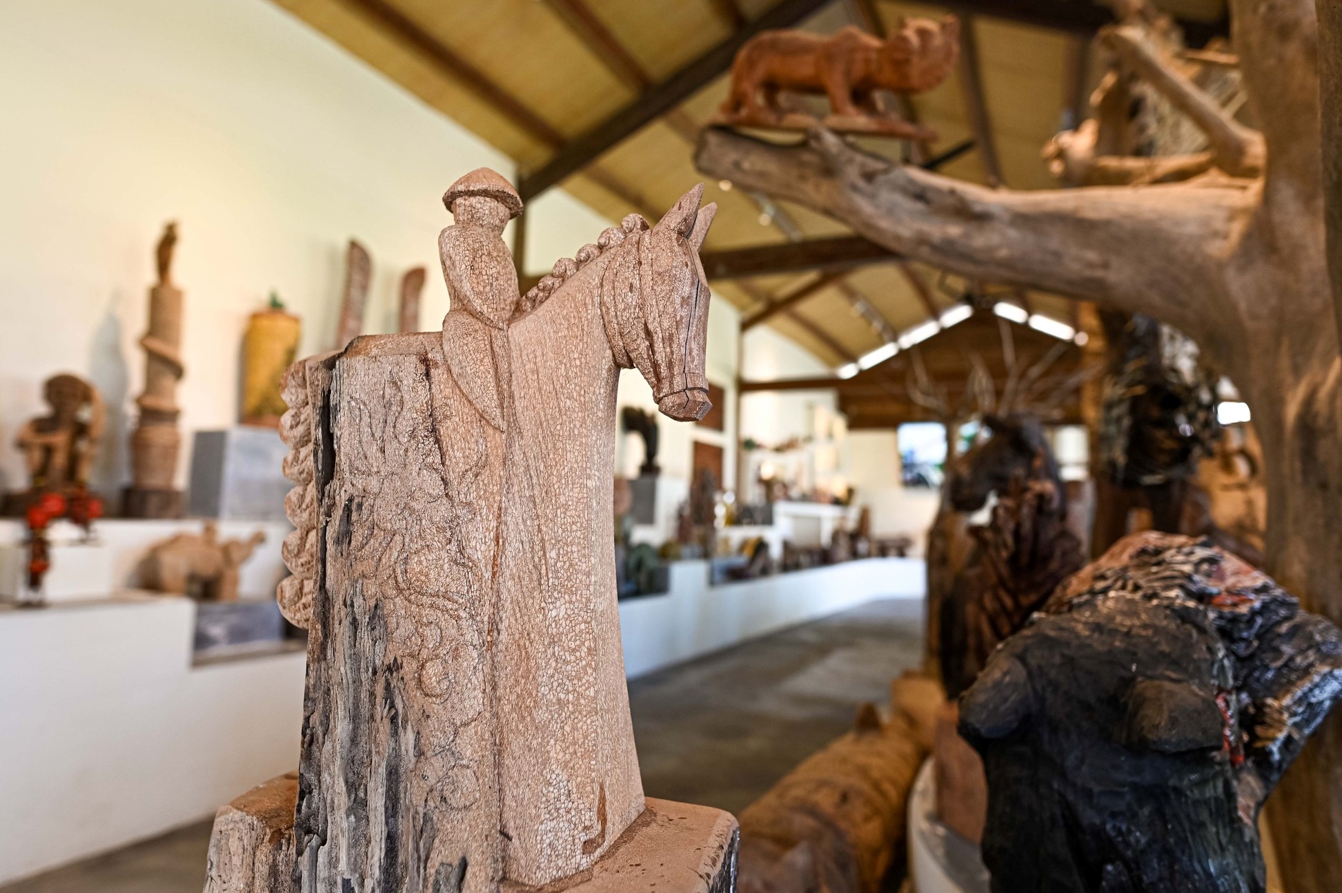 Cận cảnh "b&aacute;u vật" bất ngờ lộ diện từ những c&agrave;nh củi kh&ocirc; dạt v&agrave;o bờ biển Hội An sau mưa lũ- Ảnh 13.