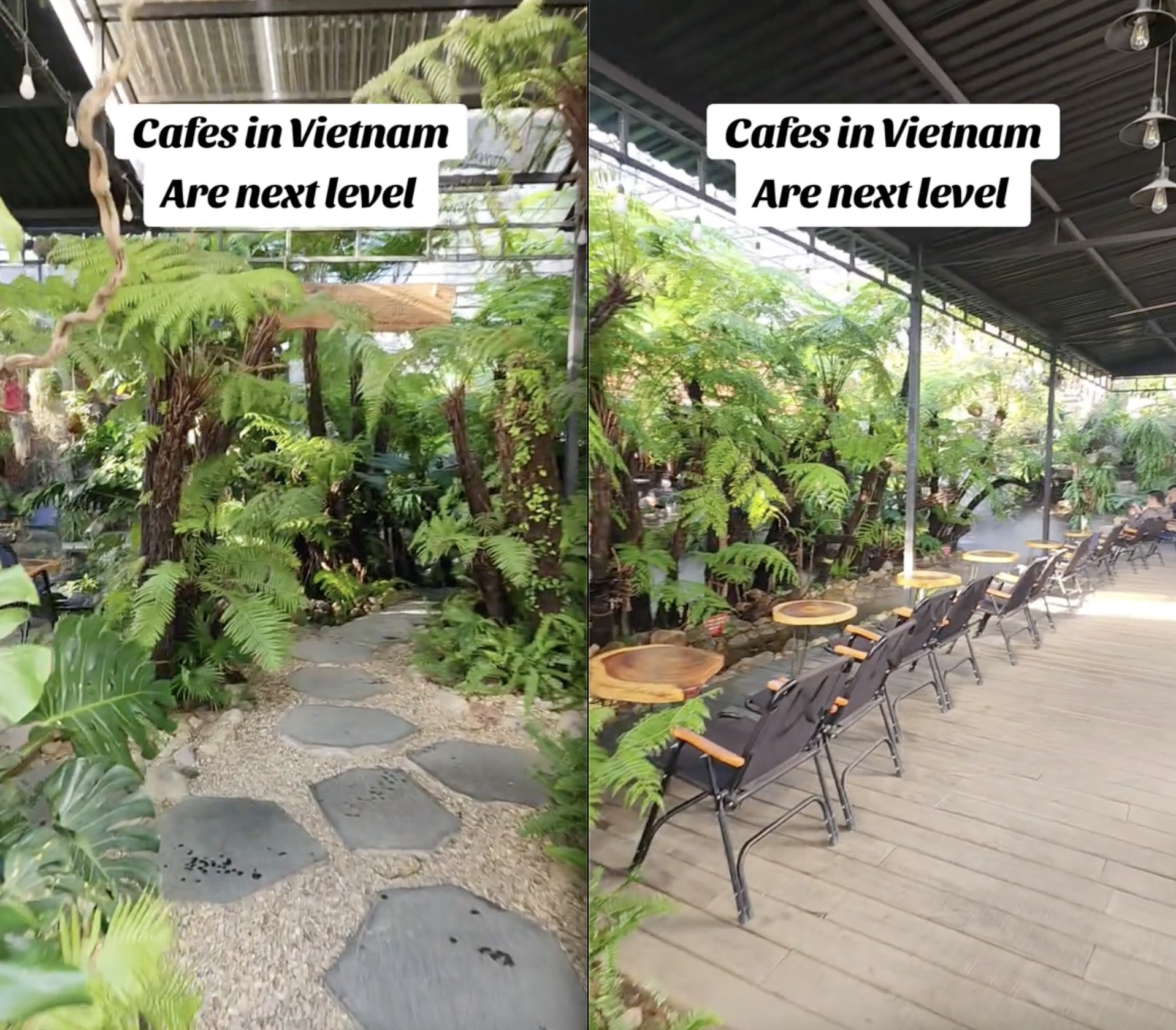 Kh&aacute;ch T&acirc;y đứng h&igrave;nh khi mua cốc c&agrave; ph&ecirc; 40.000 đồng ở Việt Nam m&agrave; được dẫn v&agrave;o rừng- Ảnh 2.