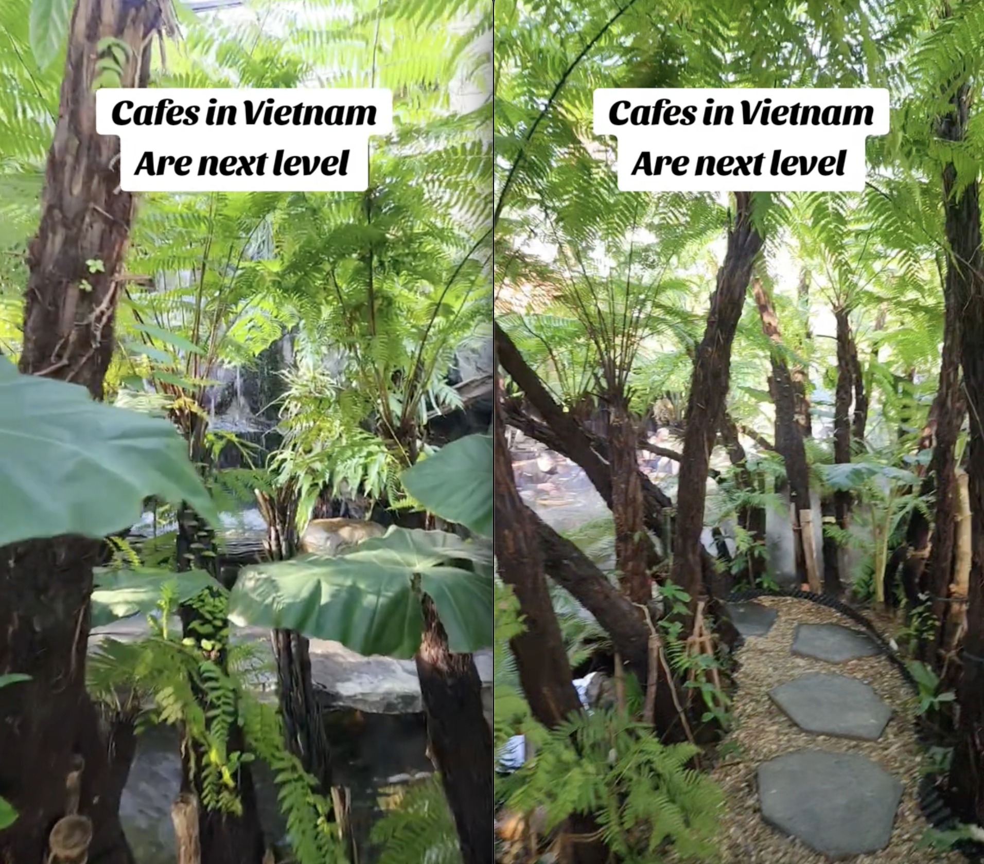 Kh&aacute;ch T&acirc;y đứng h&igrave;nh khi mua cốc c&agrave; ph&ecirc; 40.000 đồng ở Việt Nam m&agrave; được dẫn v&agrave;o rừng- Ảnh 3.