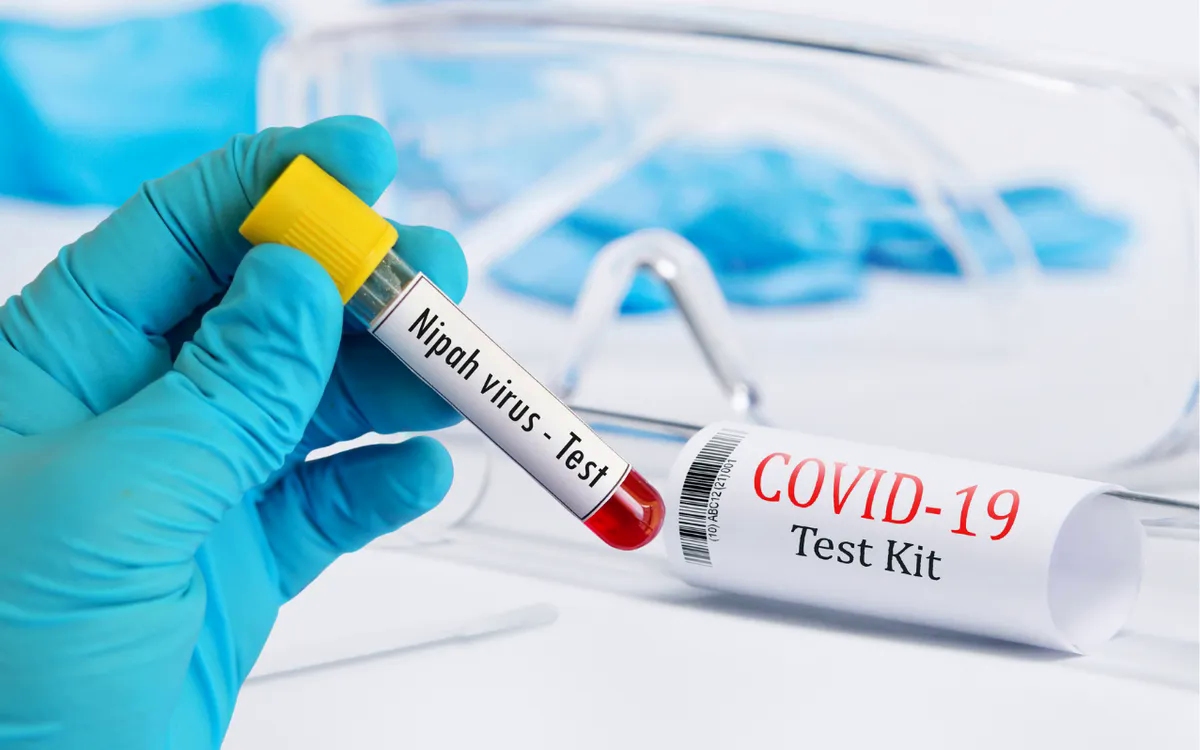 Ảnh minh họa: Getty Images, Pexels