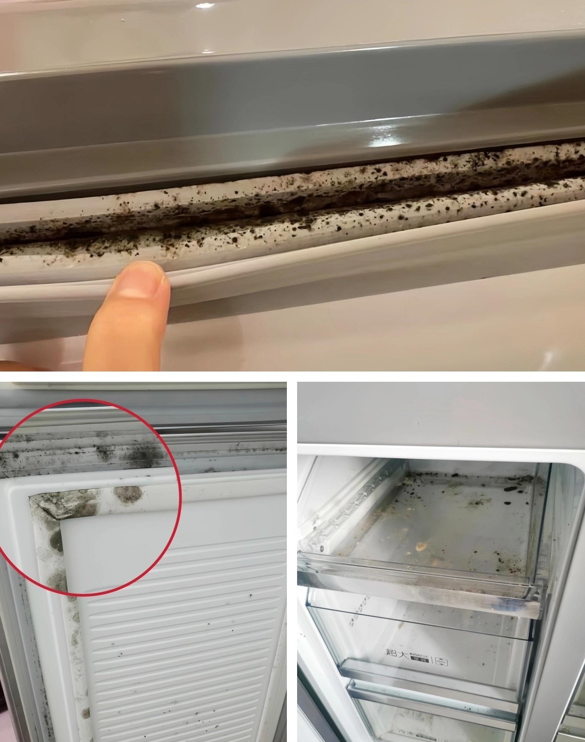 6 chỗ n&agrave;y bẩn gấp 10 lần nh&agrave; vệ sinh, rất nhiều người cả năm kh&ocirc;ng lau lấy 1 lần- Ảnh 4.