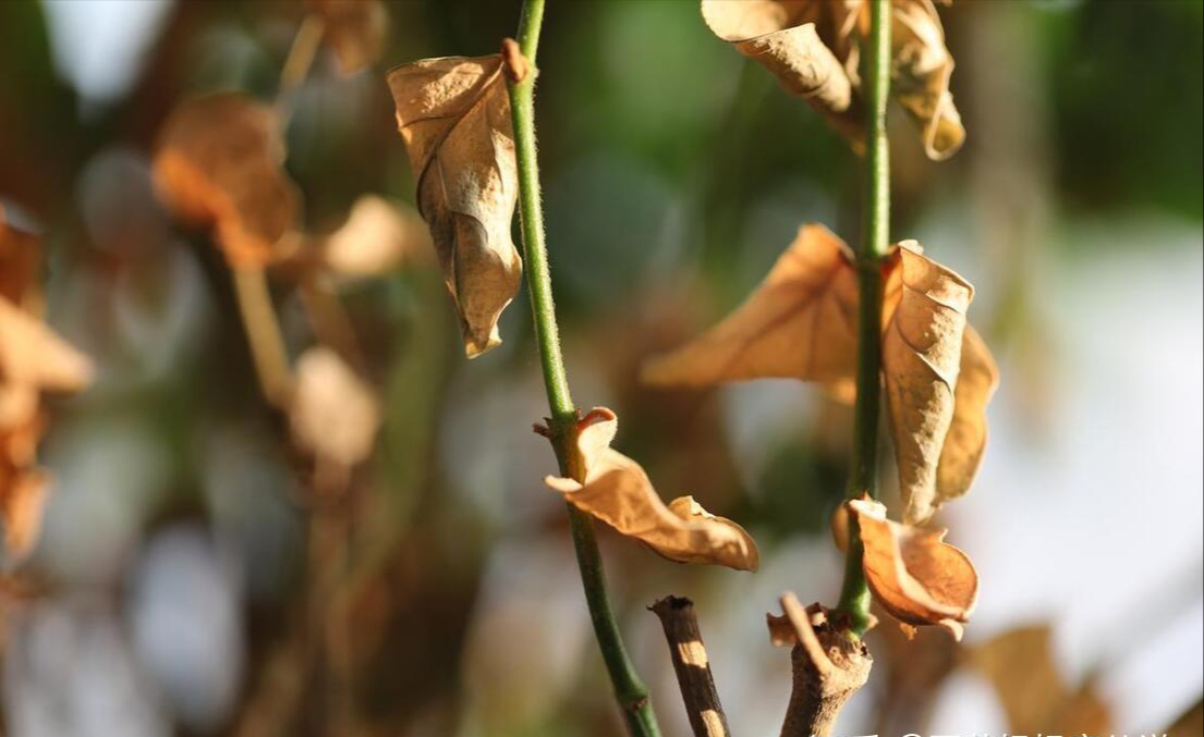 Dọn nh&agrave; trước ng&agrave;y 24 th&aacute;ng Chạp: 4 thứ n&ecirc;n bỏ ngay để năm mới đỡ chật, đỡ mệt, đỡ nặng đầu- Ảnh 4.