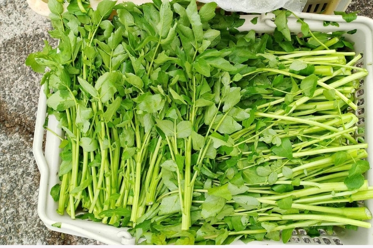 Loại rau Loại rau