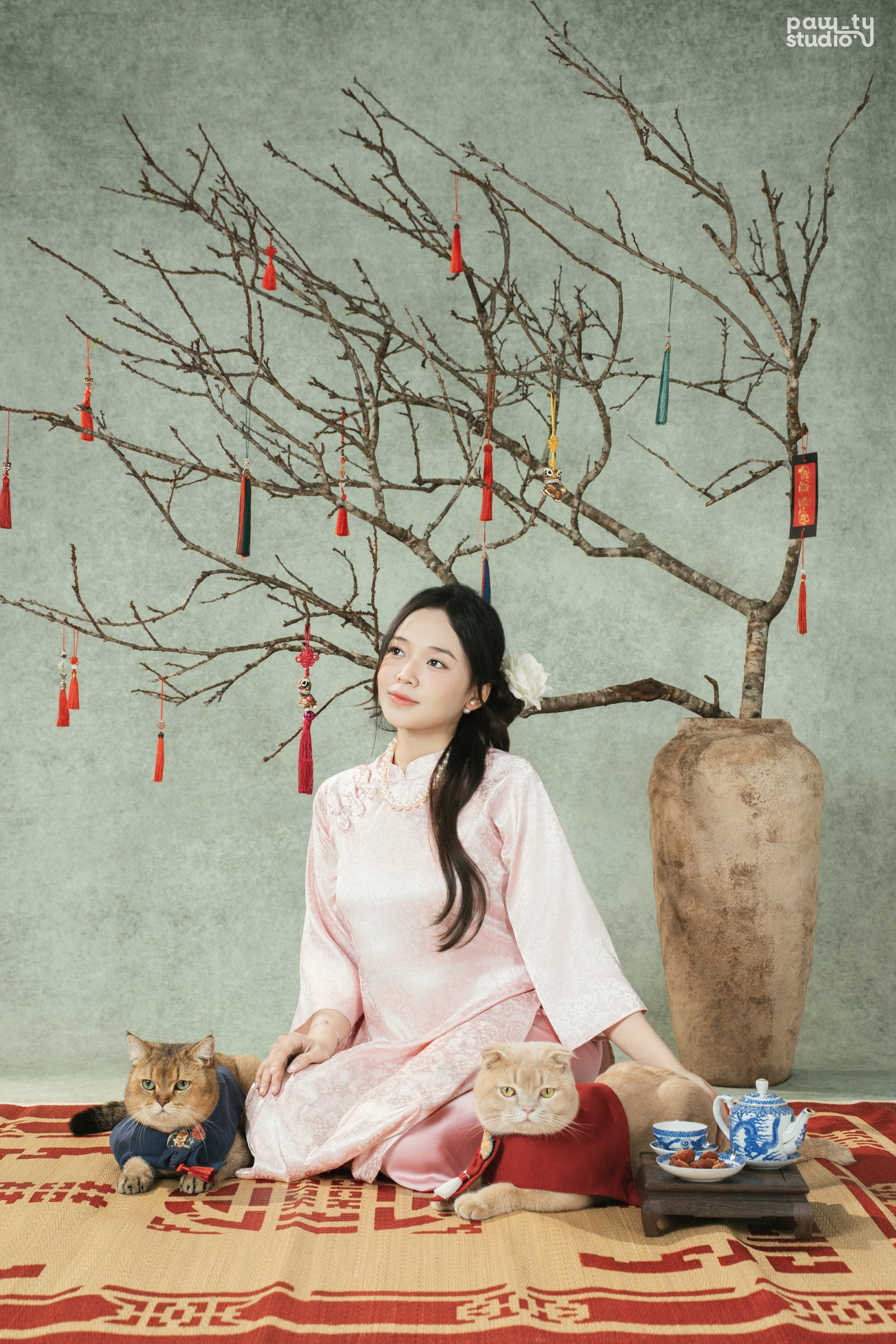 Dẫn th&uacute; cưng đến studio chuy&ecirc;n nghiệp, chụp ảnh ch&acirc;n dung ăn Tết: Dịch vụ đang hot, gi&aacute; cả ra sao?- Ảnh 1.