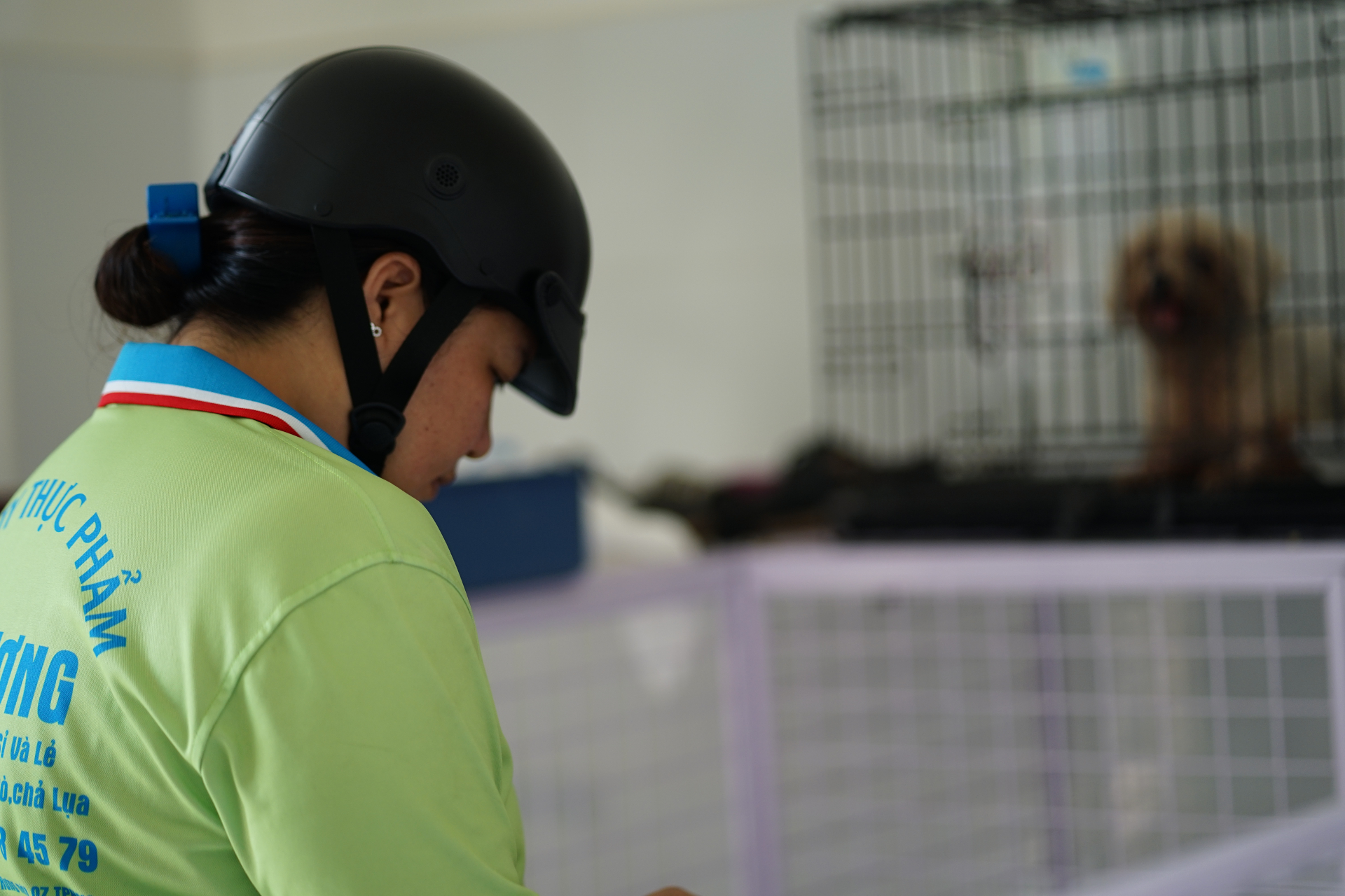 Cảnh tượng kh&ocirc;ng tưởng ở C&ocirc;ng an phường T&acirc;n Hưng: Người d&acirc;n li&ecirc;n tục t&igrave;m đến nhận diện ch&oacute; m&egrave;o bị mất, chuyện g&igrave; vậy?- Ảnh 5.