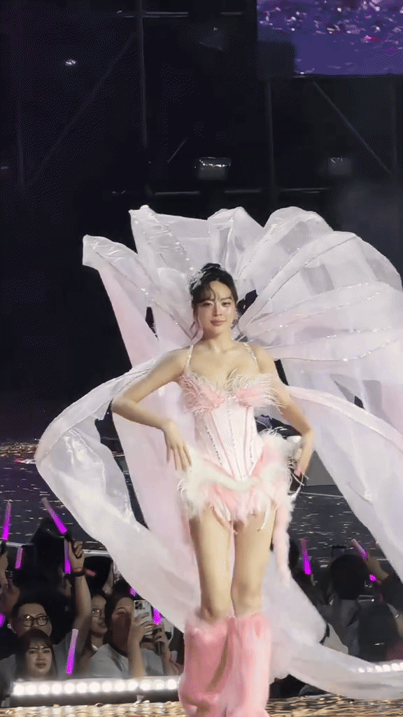 Đằng sau vẻ đẹp 