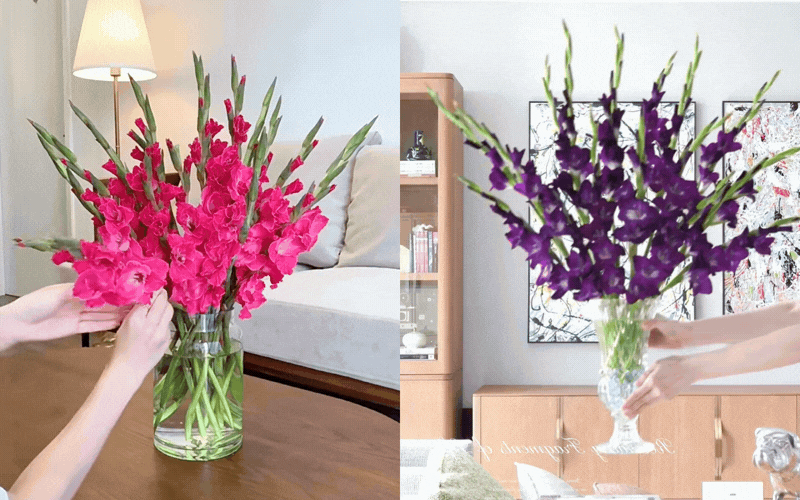 Hơn 1,2 vạn người đ&atilde; &aacute;p dụng: C&aacute;ch chăm lay ơn nở đều tăm tắp, bền xuy&ecirc;n Tết kh&ocirc;ng phải ai cũng biết- Ảnh 1.