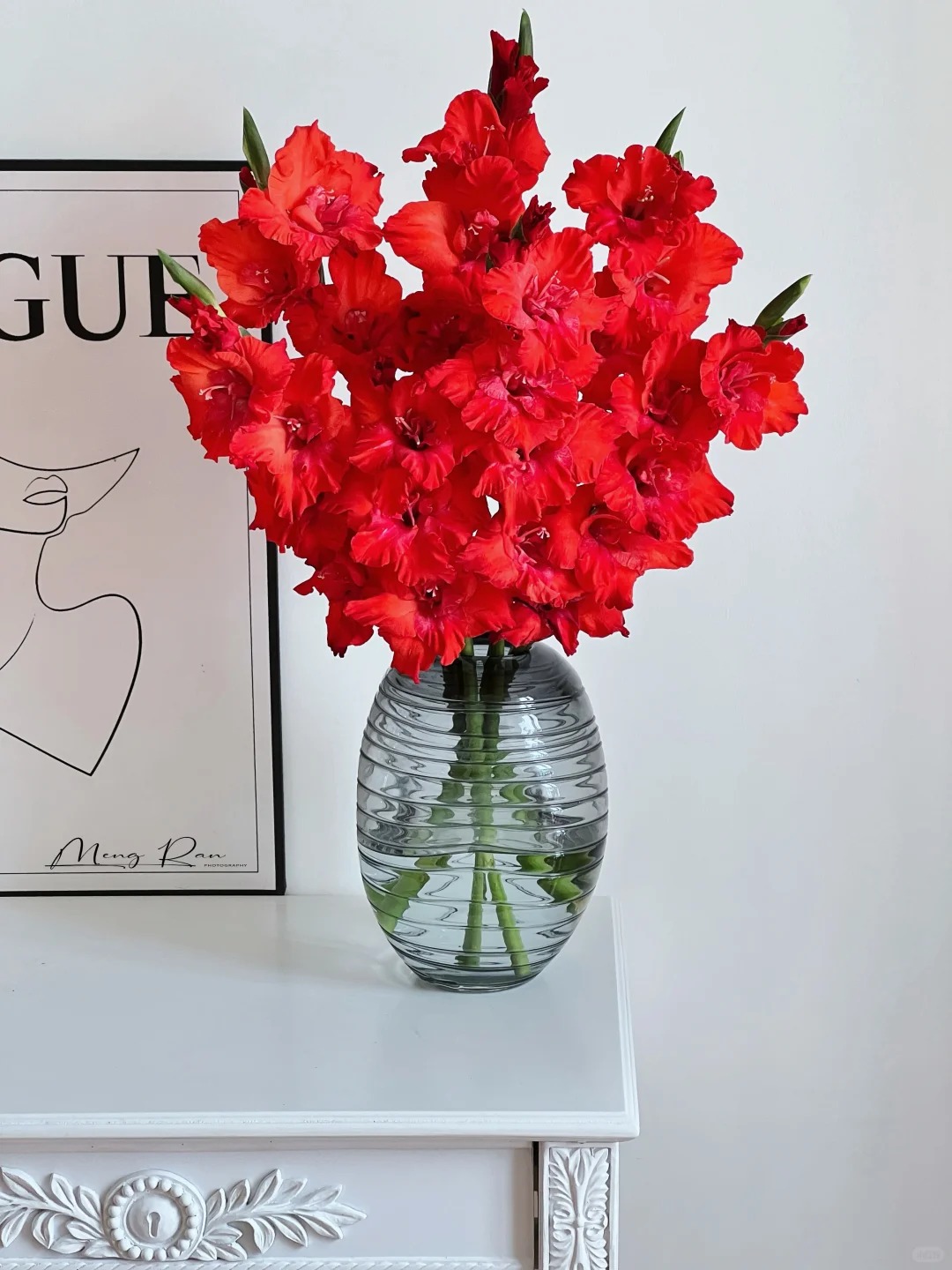 Hơn 1,2 vạn người đ&atilde; &aacute;p dụng: C&aacute;ch chăm lay ơn nở đều tăm tắp, bền xuy&ecirc;n Tết kh&ocirc;ng phải ai cũng biết- Ảnh 2.