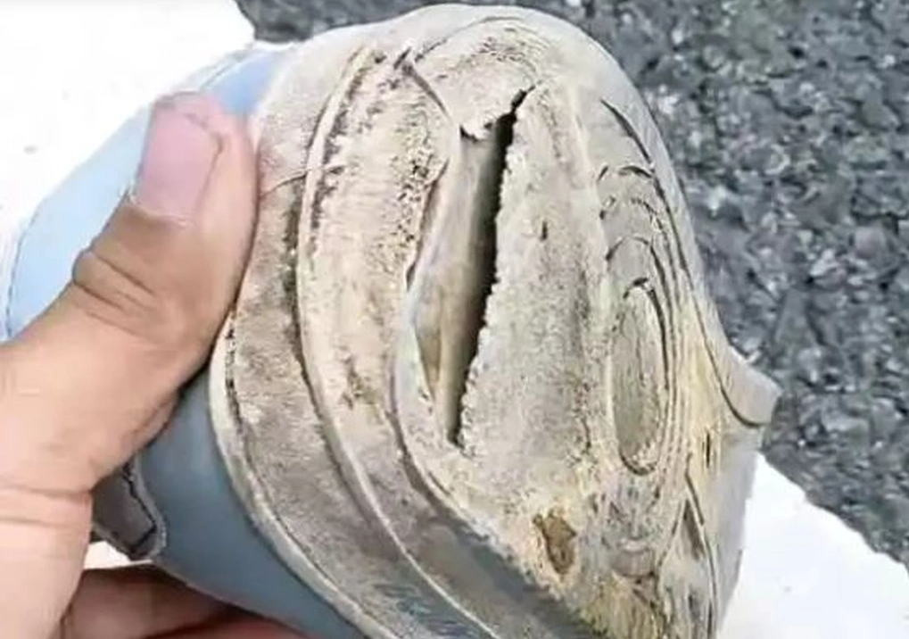 Đi xin việc nhưng bị lừa hết tiền, nam thanh niên đi bộ 1.400km về quê ăn tết, ngày ăn 1 bữa cầm cự- Ảnh 2. Đi xin việc nhưng bị lừa hết tiền, nam thanh niên đi bộ 1.400km về quê ăn tết, ngày ăn 1 bữa cầm cự- Ảnh 2.