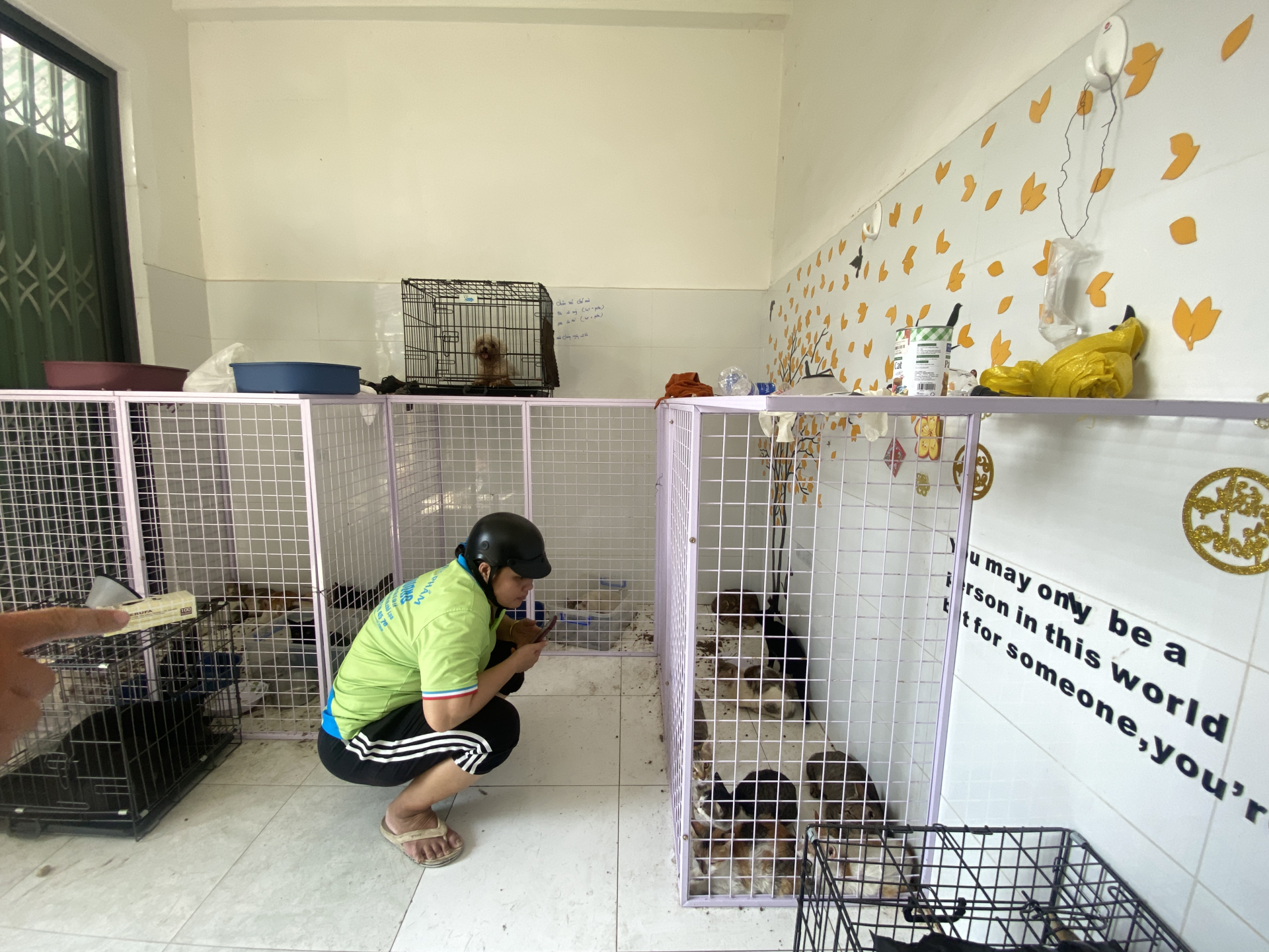 Cảnh tượng kh&ocirc;ng tưởng ở C&ocirc;ng an phường T&acirc;n Hưng: Người d&acirc;n li&ecirc;n tục t&igrave;m đến nhận diện ch&oacute; m&egrave;o bị mất, chuyện g&igrave; vậy?- Ảnh 1.