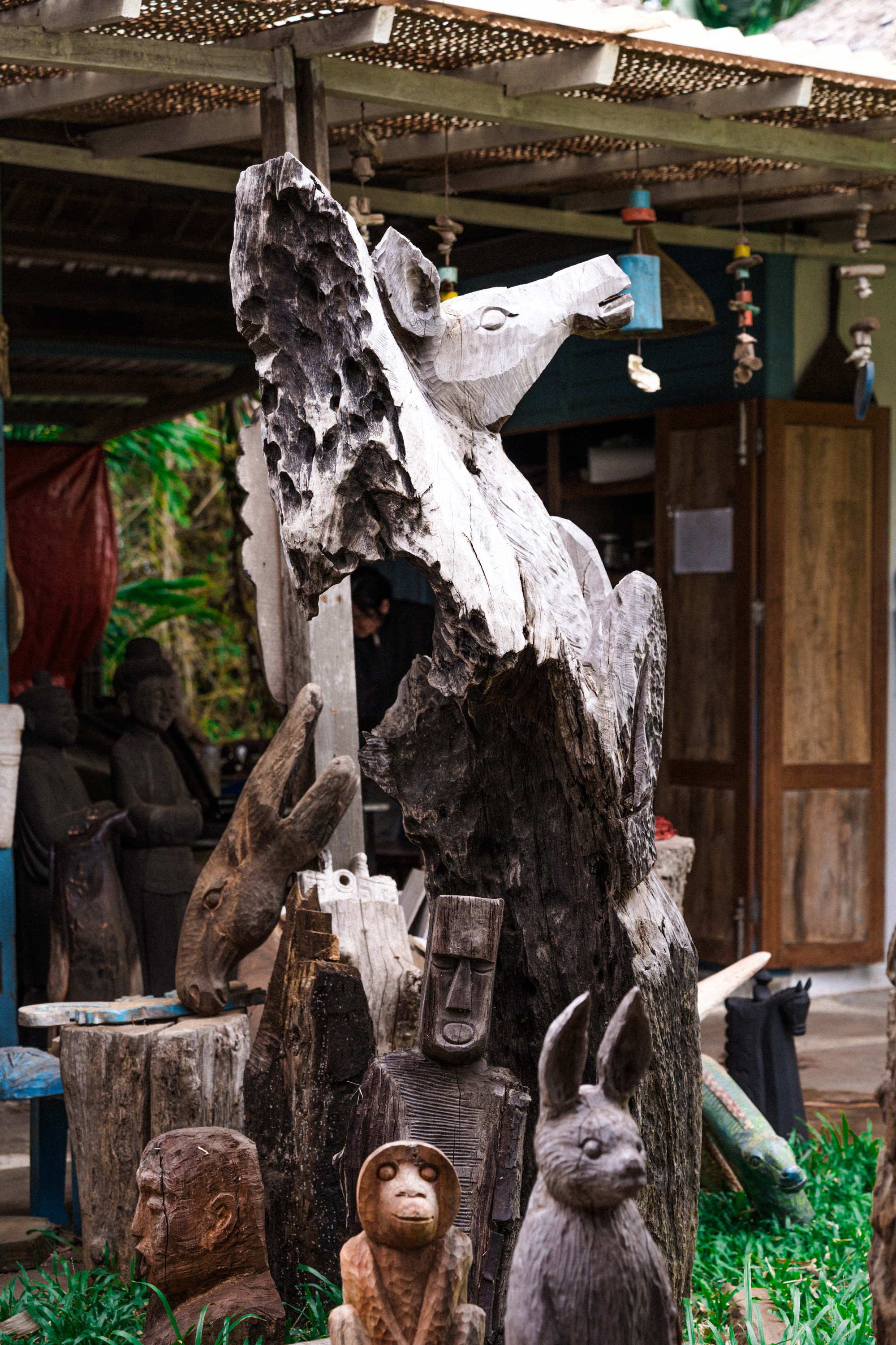 Cận cảnh "b&aacute;u vật" bất ngờ lộ diện từ những c&agrave;nh củi kh&ocirc; dạt v&agrave;o bờ biển Hội An sau mưa lũ- Ảnh 14.