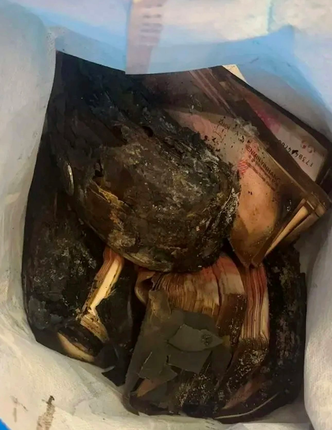 Gần 1,5 tỷ đồng tiền mặt bị ch&aacute;y nghi&ecirc;m trọng, cụ &ocirc;ng mang đến ng&acirc;n h&agrave;ng để đổi tiền mới: Bất ngờ với con số nhận lại- Ảnh 2.