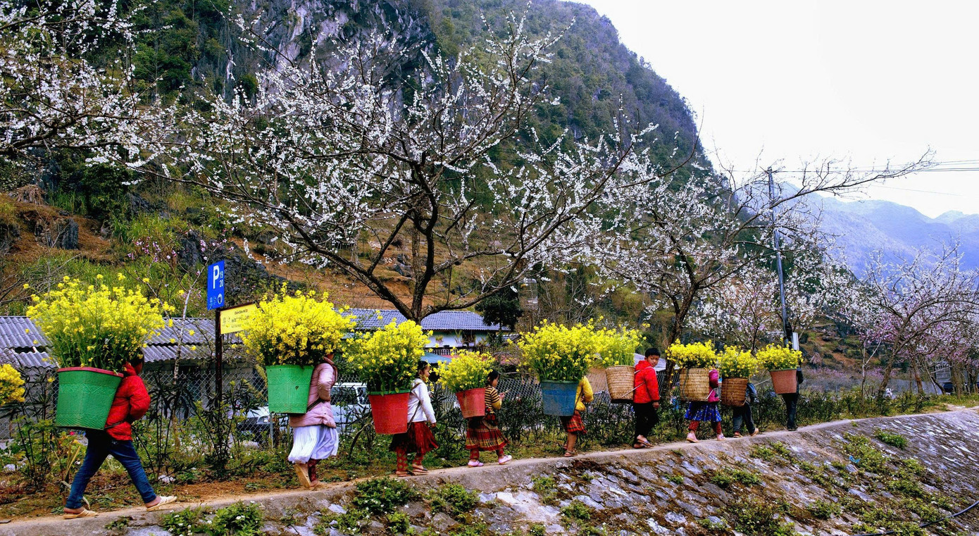 M&ecirc; mẩn hoa mận trắng x&oacute;a v&ugrave;ng sơn cước- Ảnh 12.