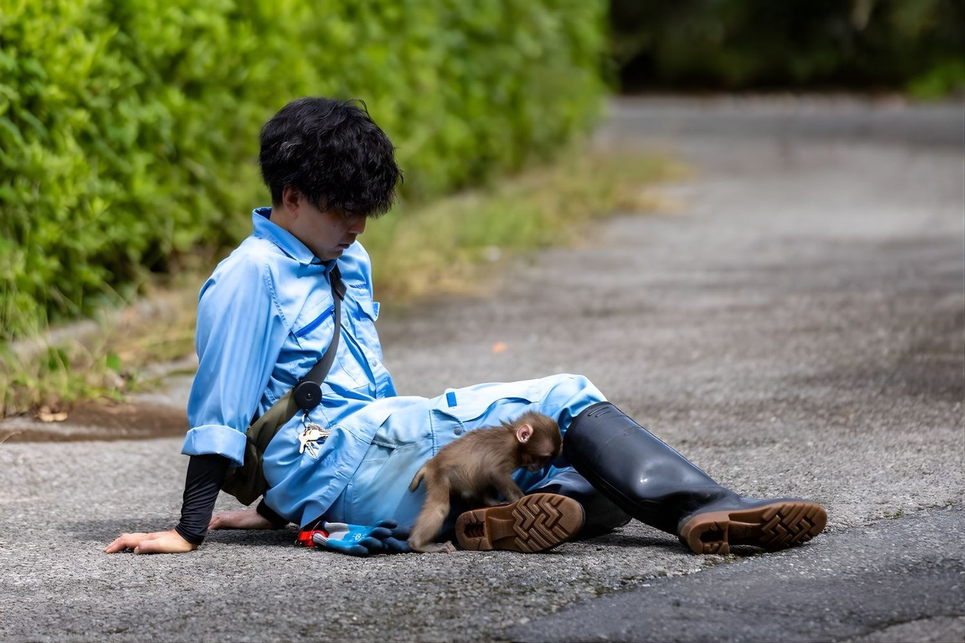 Vụ ch&uacute; khỉ Nhật Bản bị bỏ rơi: Đại diện tập đo&agrave;n IKEA đến thăm, diễn biến sau đ&oacute; g&acirc;y bất ngờ- Ảnh 7.