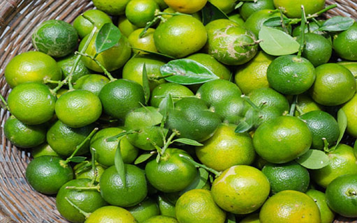 Loại quả l&agrave; &ldquo;b&aacute;u vật" ng&agrave;y Tết, đi chợ thấy bỏ qua qu&aacute; ph&iacute;- Ảnh 1.