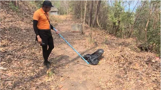 Sinh vật d&agrave;i ngoằng bất ngờ trồi l&ecirc;n giữa b&atilde;i tắm đ&ocirc;ng nghịt, cơ quan chức năng n&oacute;i: "Đ&acirc;y l&agrave; việc hiếm"- Ảnh 3.