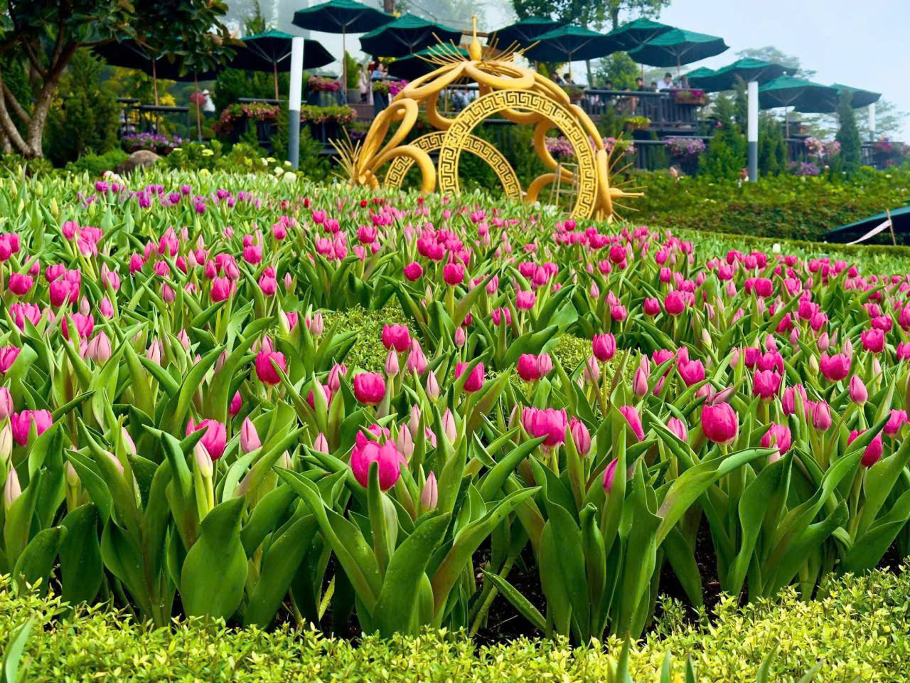 N&uacute;i B&agrave; Đen đ&oacute;n lượng kh&aacute;ch "khủng" trong 6 ng&agrave;y Tết- Ảnh 2.