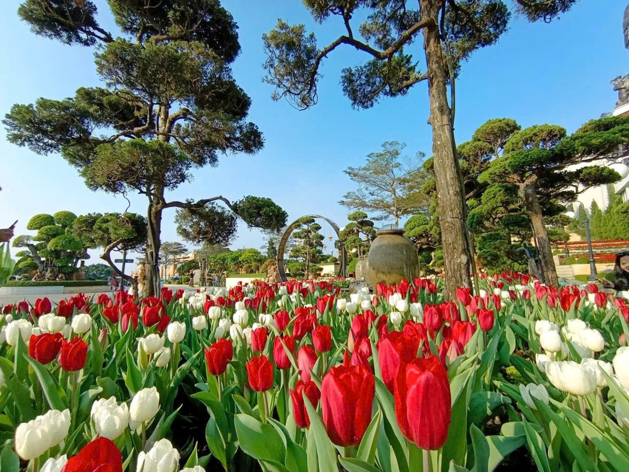 N&uacute;i B&agrave; Đen đ&oacute;n lượng kh&aacute;ch "khủng" trong 6 ng&agrave;y Tết- Ảnh 4.