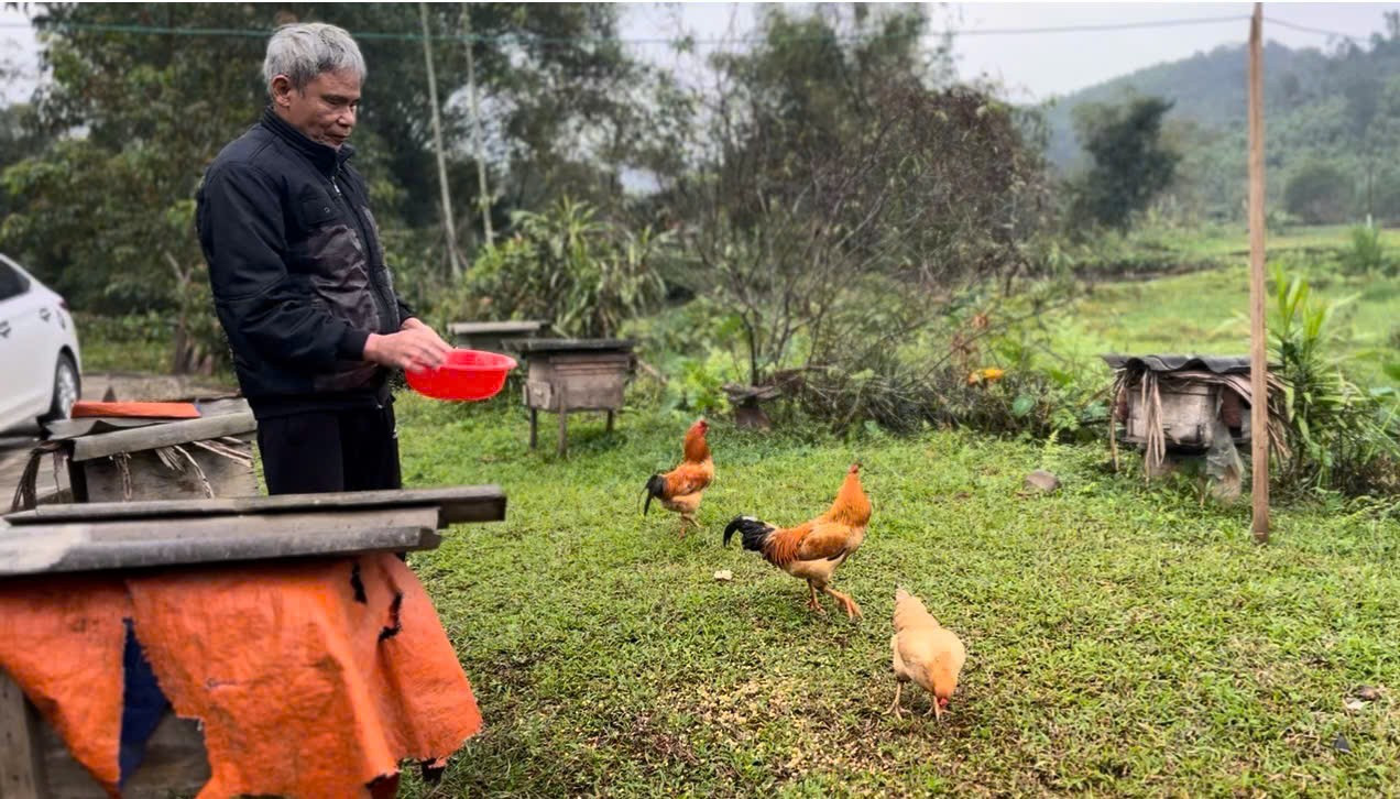 Chuyện về người đ&agrave;n &ocirc;ng m&ugrave; v&agrave; h&agrave;nh tr&igrave;nh l&agrave;m chủ 40 tổ ong- Ảnh 2.