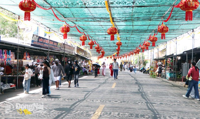 Biển người chen ch&acirc;n tại "Đệ nhị thi&ecirc;n sơn" Đ&ocirc;ng Nam Bộ- Ảnh 2.