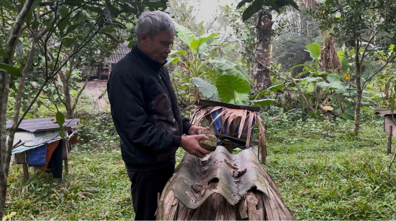 Chuyện về người đ&agrave;n &ocirc;ng m&ugrave; v&agrave; h&agrave;nh tr&igrave;nh l&agrave;m chủ 40 tổ ong- Ảnh 3.