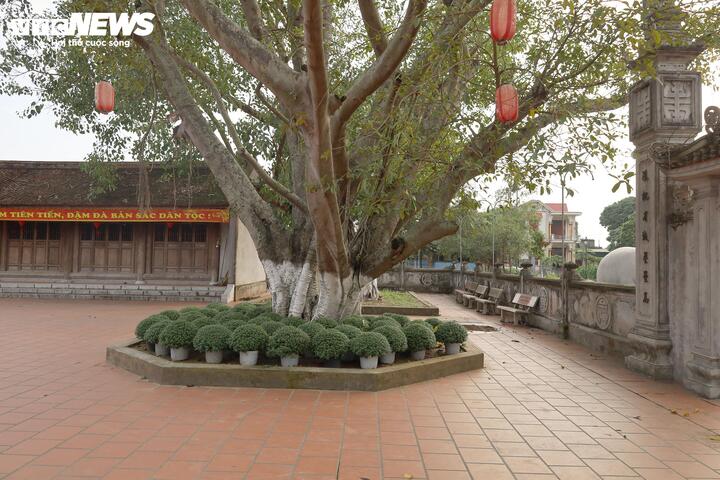 Chi&ecirc;m ngưỡng những pho tượng cổ độc đ&aacute;o trong đền thờ danh tướng Yết Ki&ecirc;u- Ảnh 22.