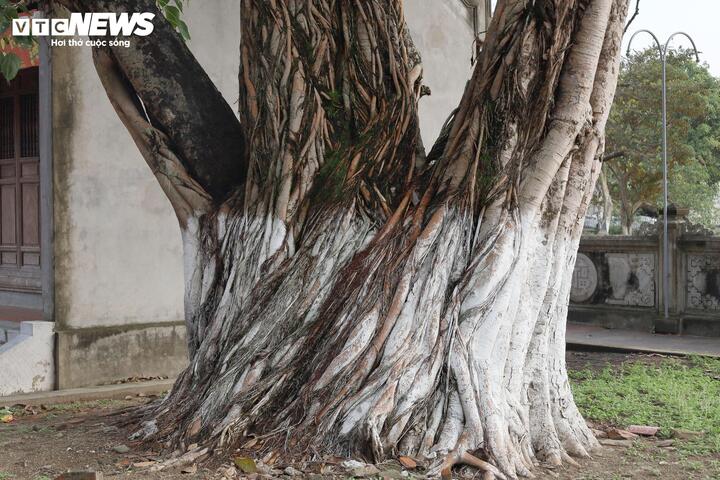 Chi&ecirc;m ngưỡng những pho tượng cổ độc đ&aacute;o trong đền thờ danh tướng Yết Ki&ecirc;u- Ảnh 23.