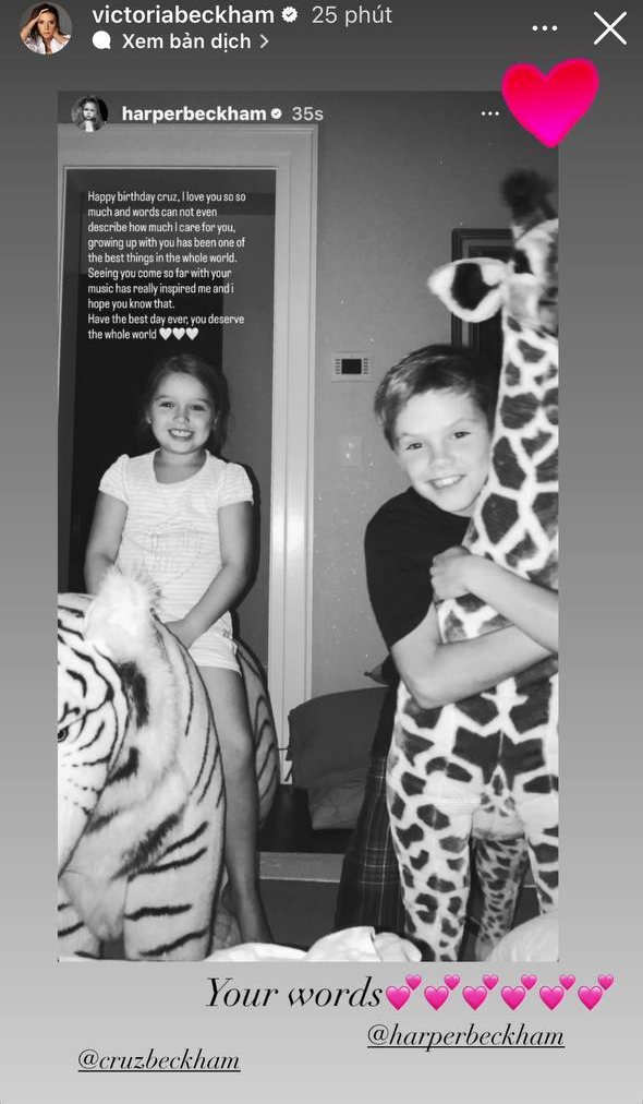 C&oacute; một tiểu thư Harper mềm mại, đầy ấm &aacute;p giữa drama gia đ&igrave;nh Beckham- Ảnh 1.