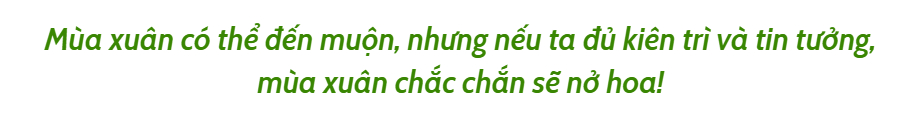 BS. Ho&agrave;ng Văn Khanh - người gom nhặt hy vọng, giữ lại những m&ugrave;a xu&acirc;n muộn cho đời: Ph&iacute;a sau chiếc &aacute;o Blouse l&agrave; tr&aacute;i tim kh&ocirc;ng nỡ bu&ocirc;ng tay- Ảnh 19.