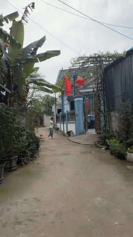 Hiếm khi thấy Quang Hải xắn quần cầm chổi qu&eacute;t cổng nh&agrave; bố vợ, Chu Thanh Huyền "th&acirc;n t&agrave;n ma dại" sau tết- Ảnh 1.