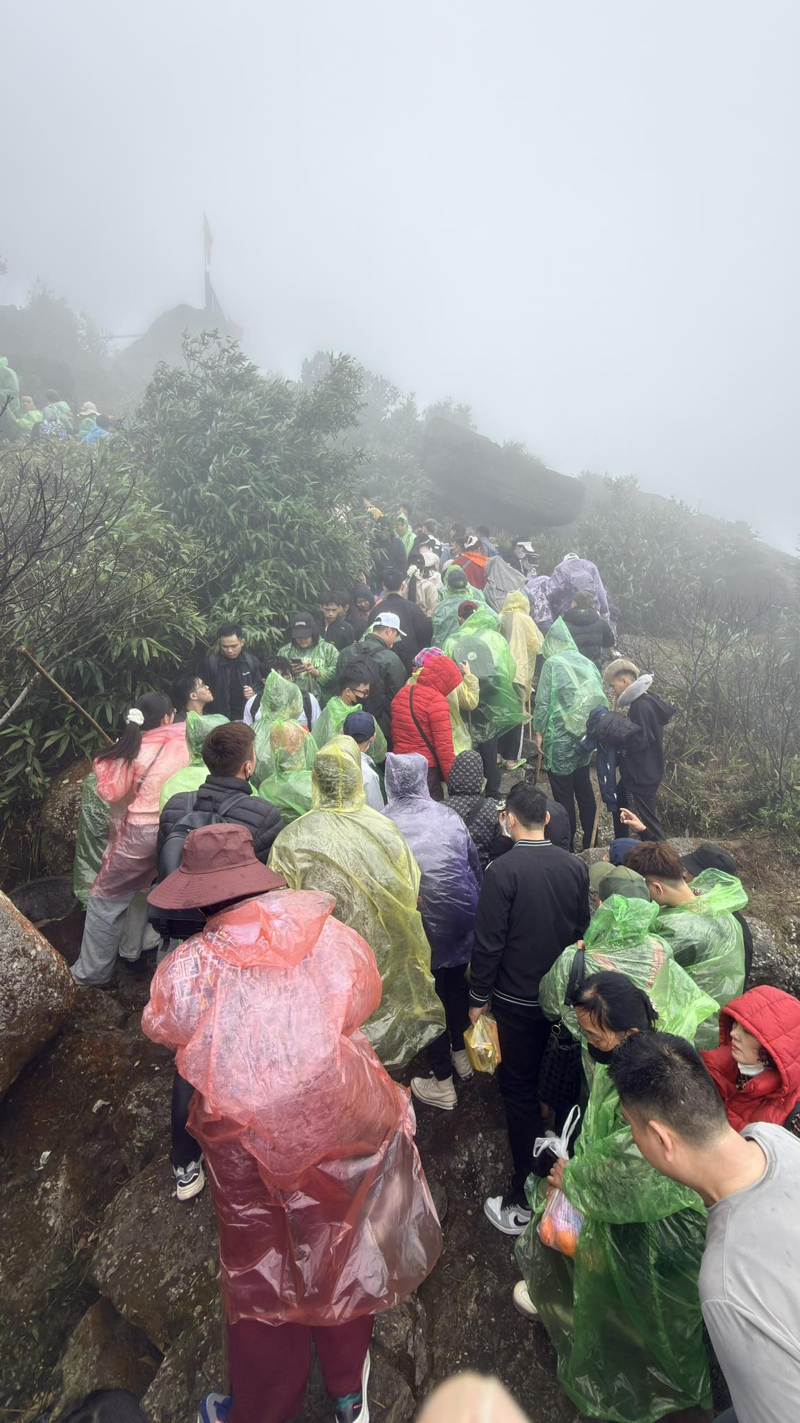 Yên Tử thất thủ, kẹt cứng từ 4h sáng: Du khách đông nghịt, ai cũng cầm 1 chiếc gậy trong tay- Ảnh 7. Yên Tử thất thủ, kẹt cứng từ 4h sáng: Du khách đông nghịt, ai cũng cầm 1 chiếc gậy trong tay- Ảnh 7.