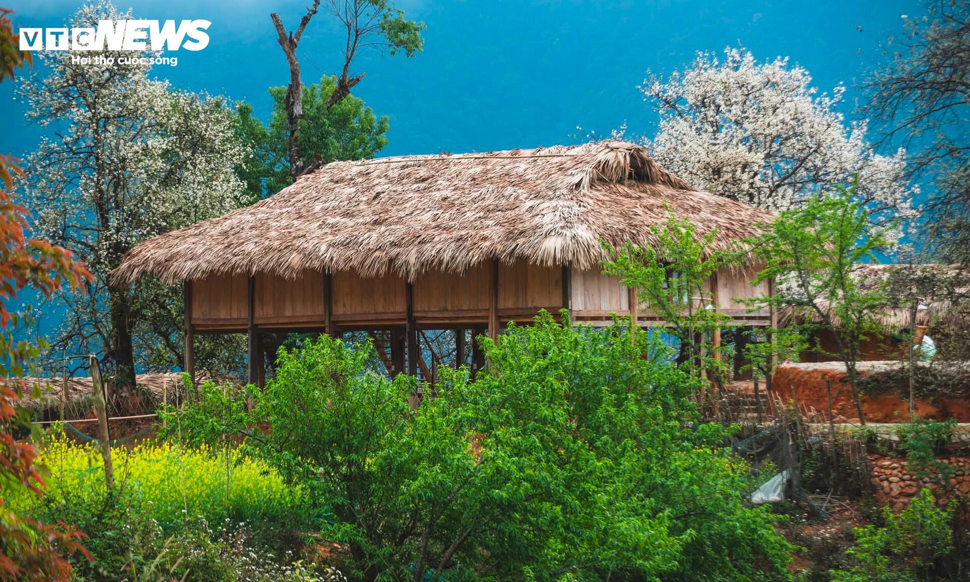 Thi&ecirc;n đường hoa sơn tra giữa đại ng&agrave;n T&acirc;y Bắc v&agrave;o m&ugrave;a đẹp nhất năm- Ảnh 5.