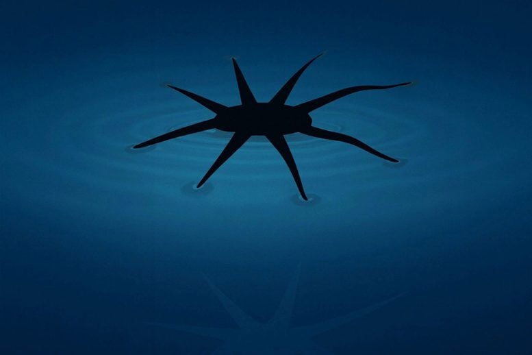 Độc lạ robot: Từ "lai" sinh học đến "da" điện tử- Ảnh 3. Độc lạ robot: Từ "lai" sinh học đến "da" điện tử- Ảnh 3.