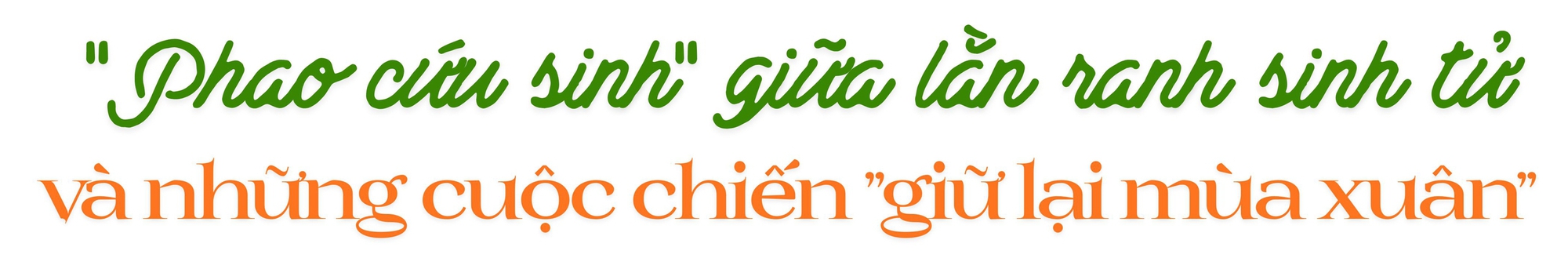 BS. Ho&agrave;ng Văn Khanh - người gom nhặt hy vọng, giữ lại những m&ugrave;a xu&acirc;n muộn cho đời: Ph&iacute;a sau chiếc &aacute;o Blouse l&agrave; tr&aacute;i tim kh&ocirc;ng nỡ bu&ocirc;ng tay- Ảnh 4.