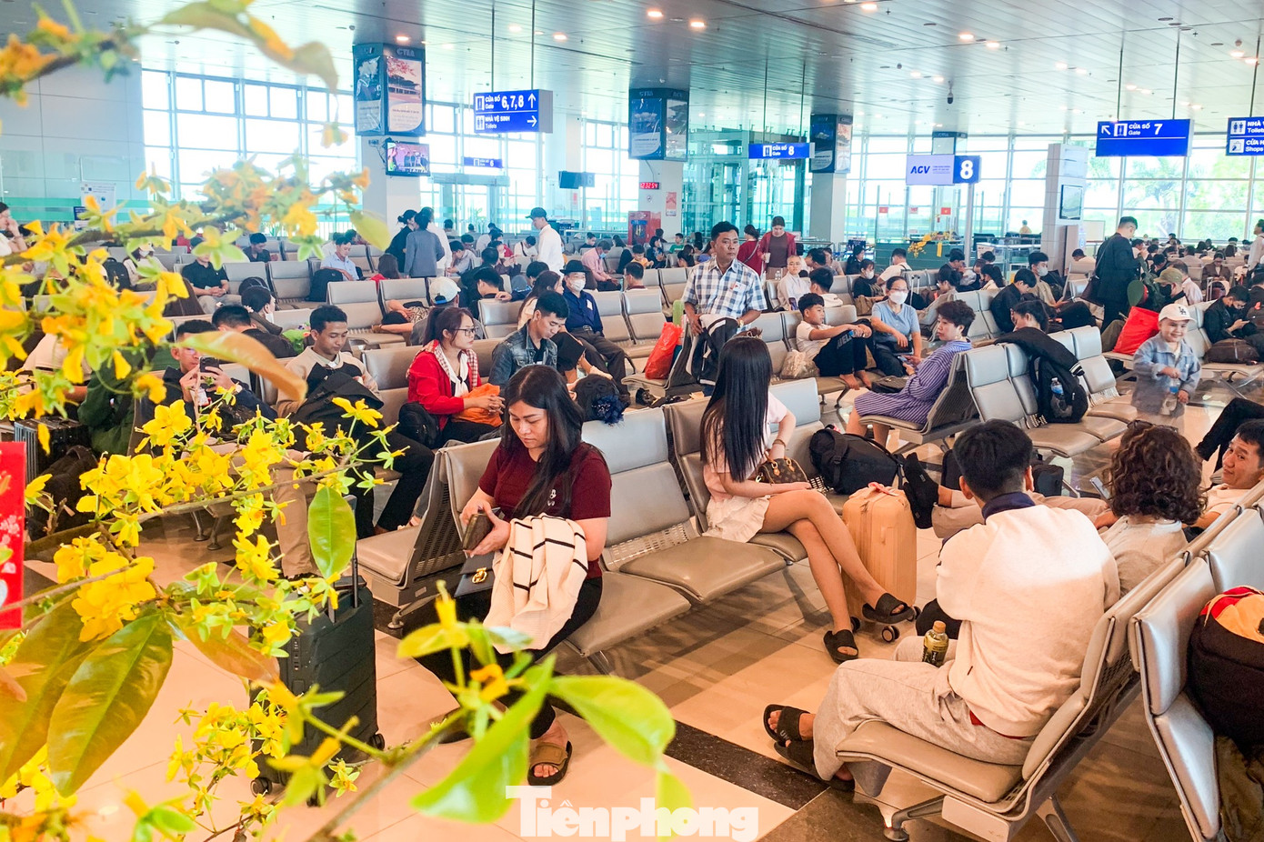 S&acirc;n bay Nội B&agrave;i, Cần Thơ đ&ocirc;ng nghẹt m&ugrave;ng 4 Tết- Ảnh 11.