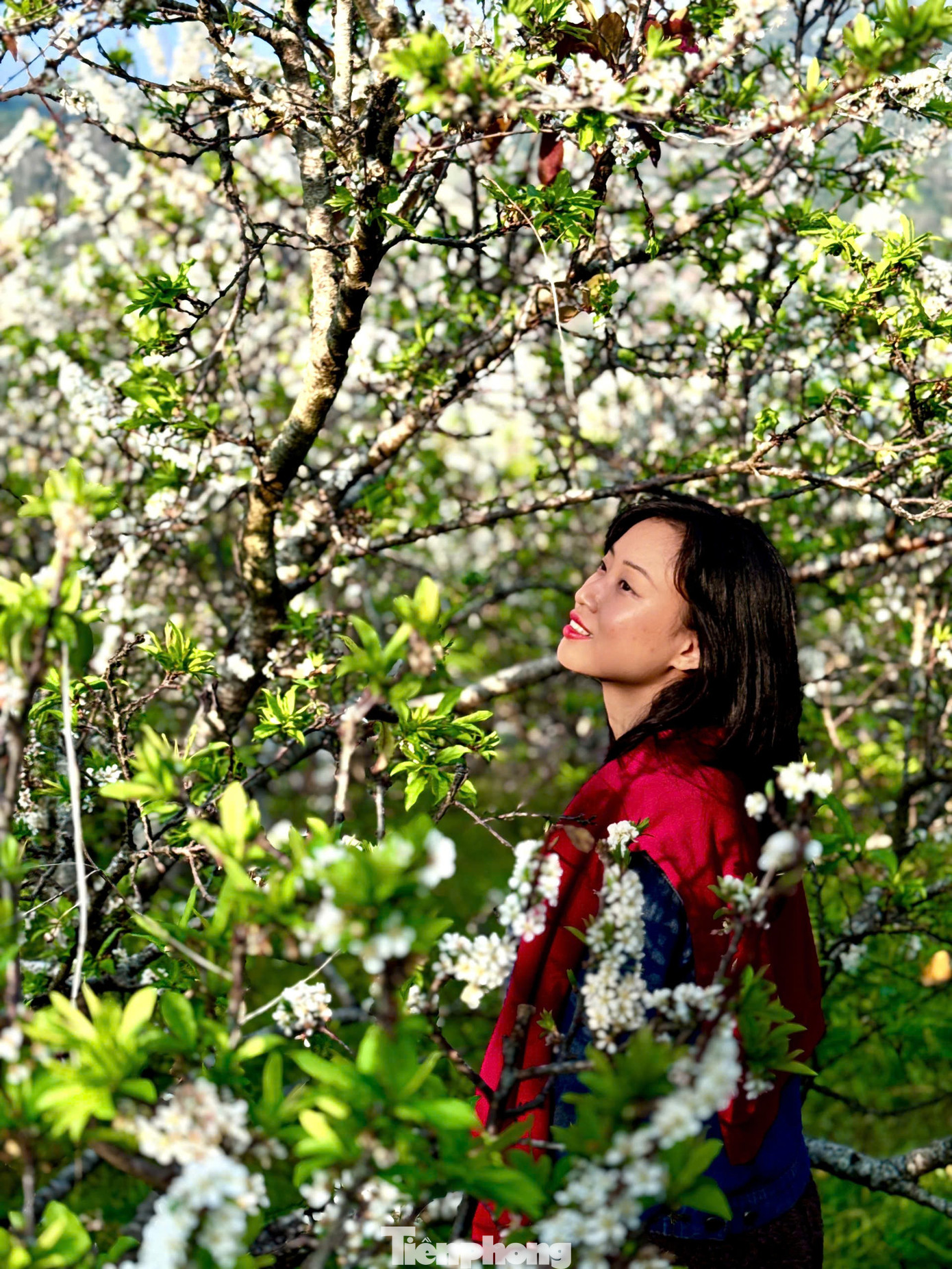 Kiếm bộn tiền nhờ dịch vụ &ldquo;sống ảo&rdquo; ăn theo m&ugrave;a hoa Mộc Ch&acirc;u- Ảnh 21.