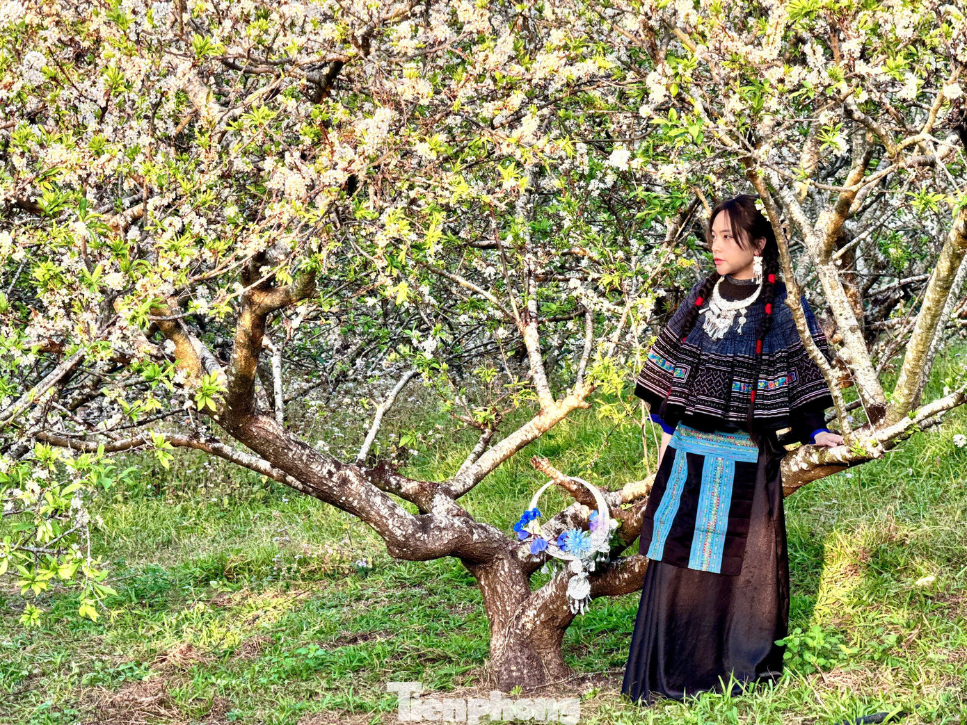 Kiếm bộn tiền nhờ dịch vụ &ldquo;sống ảo&rdquo; ăn theo m&ugrave;a hoa Mộc Ch&acirc;u- Ảnh 19.